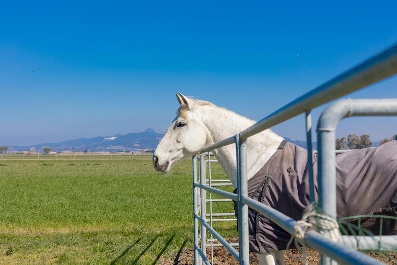 Agriturismo Gli Etruschi Populonia